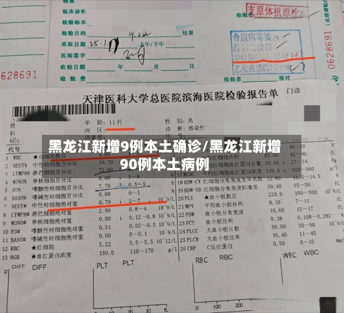 黑龙江新增9例本土确诊/黑龙江新增90例本土病例-第3张图片