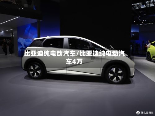 比亚迪纯电动汽车/比亚迪纯电动汽车4万