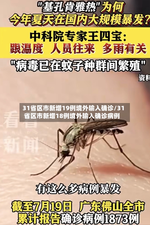 31省区市新增19例境外输入确诊/31省区市新增18例境外输入确诊病例-第2张图片
