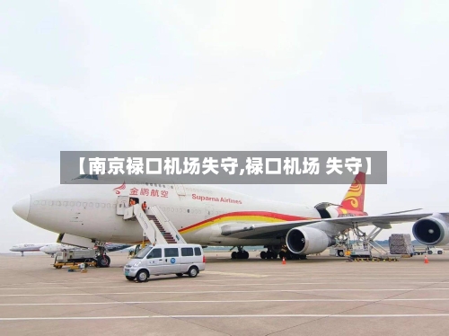【南京禄口机场失守,禄口机场 失守】-第3张图片