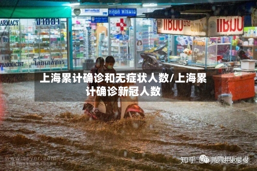 上海累计确诊和无症状人数/上海累计确诊新冠人数